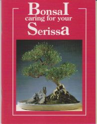 bonsai bog; Caring for Serissa
