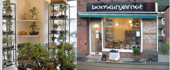 bonsai butik på Ålekistevej 63 i Vanløse, København