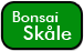 bonsai skle